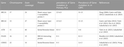 Mutational spectrum of DNA damage and mismatch repair genes in prostate cancer